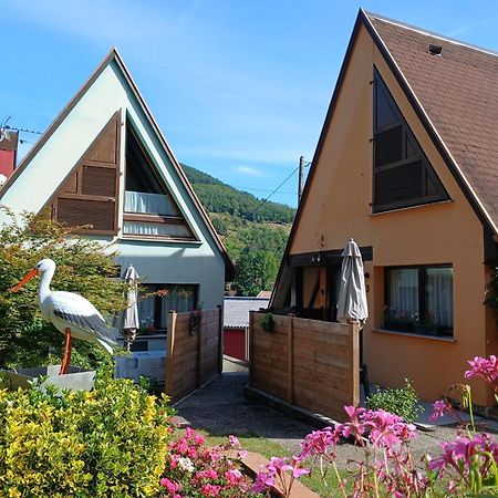 Gite Pinot Gris Et Gite Pinot Blanc Kaysersberg-Vignoble Exterior foto